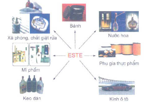 ESTE LÀ GÌ? CẤU TẠO, TÍNH CHẤT VÀ ỨNG DỤNG CỦA ESTE